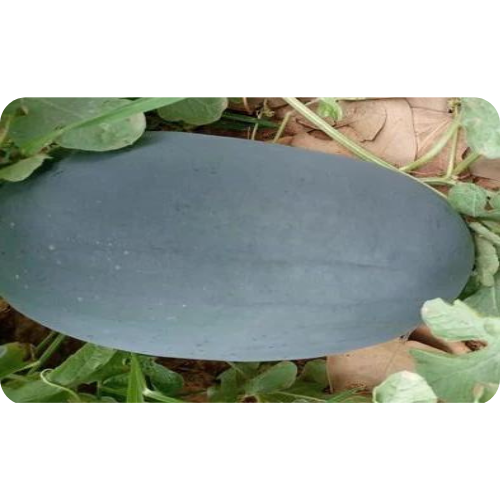 Untitled design (10)