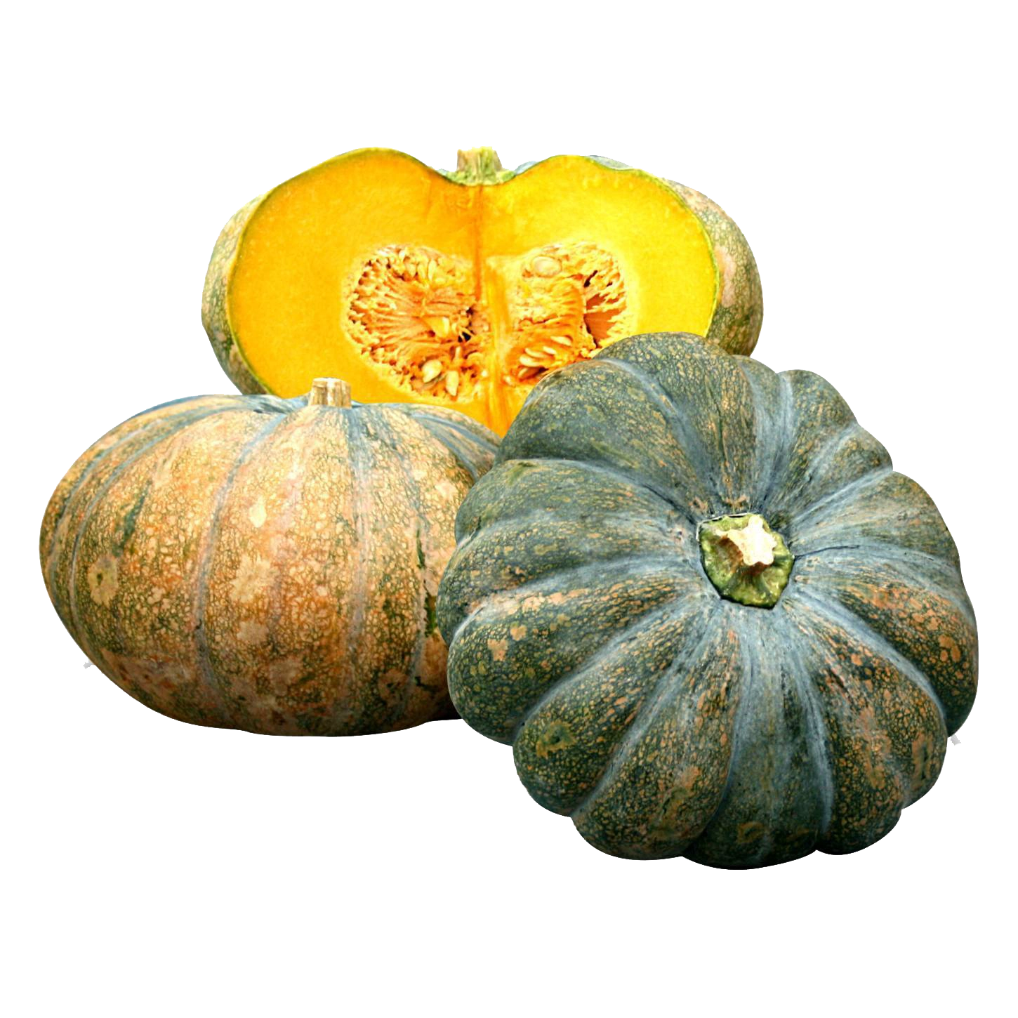 7bbac0ae91aef2f7cb6de590d065e0af